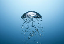 Roadmap to rebuild trust in water sector