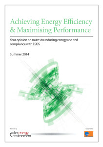 Energy Survey White Paper 2014