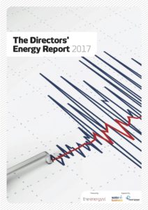 The Directors Energy Report 2017 Cover