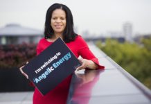 Doncaster and Islington launch local energy companies via Robin Hood