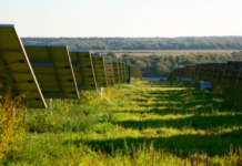 Solar and storage must bow to grid king