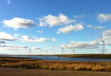 3% of Britain’s wind power ‘wasted’ in 2017