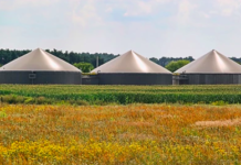 John Laing pays £11m for 5MW anaerobic digestion plant, eyes more