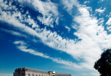 Free event: How to cut carbon without financial risk