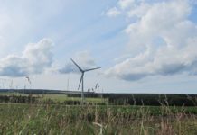 Kaluza works with Scottish wind farm to provide flexibility with new ODFM service