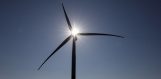 86% of new wind energy startups in Europe focus on alternative turbines, software and sensors