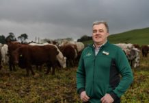 Morrisons pledge to have first net zero British farms by 2030