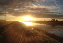 Capacity crunch: Can UPS improve power quality management?