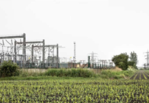 Ofgem tables RIIO-ED2 decisions, draws capex map to 2028 for nets’ upgrades, storage, clean gen