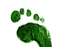 Effective action at a local level needed to achieve net zero