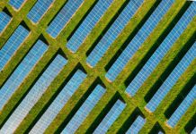 How Can Energy Companies Enable A Risk-Free Transition to Renewable Business?