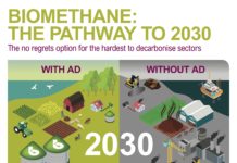 Biogas and AD ‘can create 60k jobs this decade’