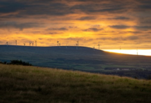 Energy industry unites and calls on government to build back greener ahead of COP26
