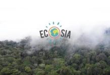 Green search engine pinpoints solar PV platform with Euros 20 million