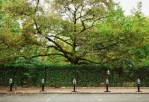 Connected Kerb selected for New York EV charging pilot project