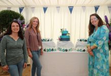 Green hydrogen to help spin 2.2GW turbines? RWE ponders CCUS for Pembroke