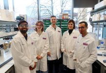 Salted (sic) for Is and whizz: Mancs brave Italian brine to lift lithium