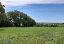 Ripple Energy offers UK’s first solar farm in shared ownership