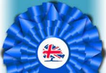 Tory voters “support by 71 to 6” green upgrades to strip UK grids of carbon: poll