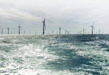 First Scotwind offshore farm seeks Holyrood’s consent, as Whitelee begins bug hunt
