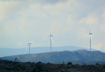 The Top 5 Benefits of digitalisation for ESG-focused businesses