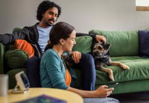 Hive & Daikin team up to integrate heat pumps with smart home tech