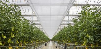 Electrifying! Rail pension fund extends platform, buys ticket to AGR’s returns