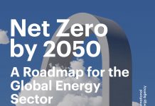 The road to Net Zero by 2050: How are we doing?
