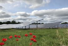 BayWa r.e. welcomes positive planning decision for Tipperary solar farm