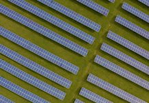 Fields of power: Octopus Energy acquires agrivoltaic developer OX2 France