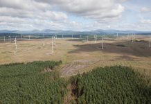 Iberdrola leads the European PPA market for the second consecutive year with more than 1251MW