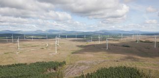 Iberdrola leads the European PPA market for the second consecutive year with more than 1251MW