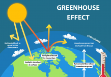 Carbon capture relies on accurate greenhouse gas monitoring