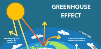 Carbon capture relies on accurate greenhouse gas monitoring