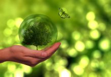 Energy Procurement: The spectrum of carbon footprinting tools and approaches available today