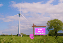 Octopus Energy brings power to the people with the launch of ‘the Collective’ investment platform