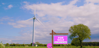 Octopus Energy brings power to the people with the launch of ‘the Collective’ investment platform