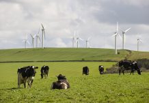 Plan to kickstart onshore wind revolution