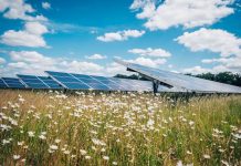 Low Carbon and EDF power solutions agree deal for Gate Burton DCO solar and storage project