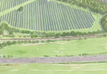 Woolley Solar farm to deliver 29.7MW annually following planning approval