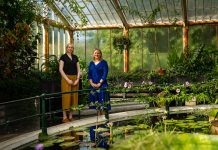 Royal Botanic Gardens, Kew to accelerate sustainability ambitions