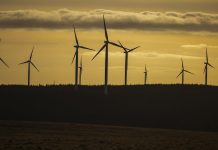 National Grid DSO launches largest long-term flexibility tender