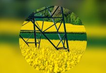 Elexon starts operations in new market facilitator role to transform flexibility markets