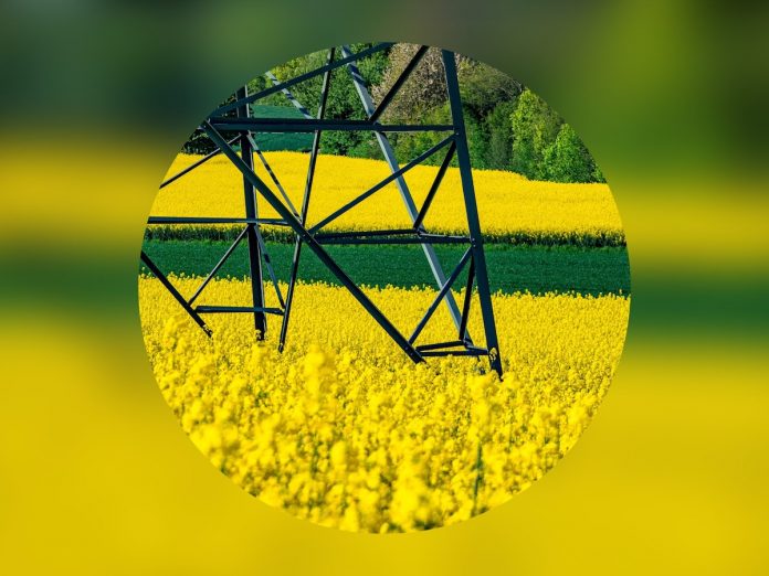 Generation-pylon-close-up