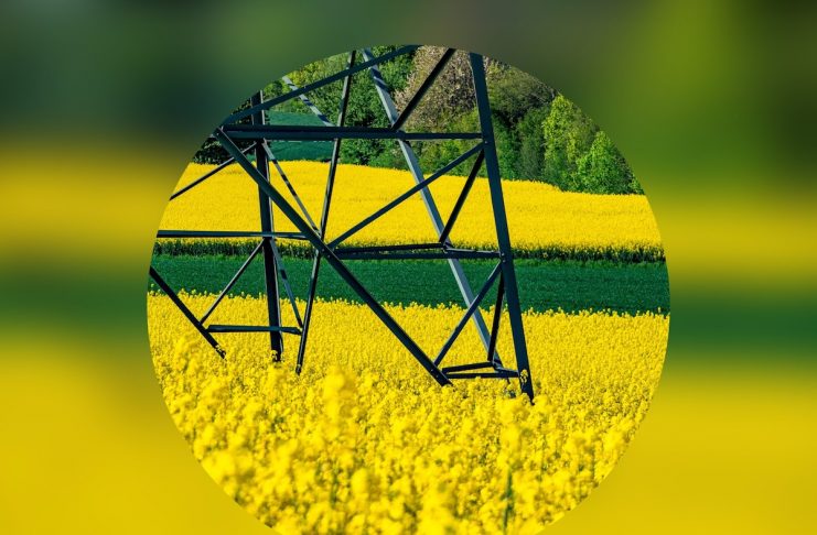 Elexon starts operations in new market facilitator role to transform flexibility markets