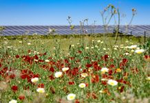 BayWa r.e. sells 121MWp UK solar portfolio to Capital Dynamics