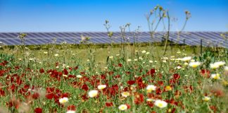 BayWa r.e. sells 121MWp UK solar portfolio to Capital DynamicsÂ