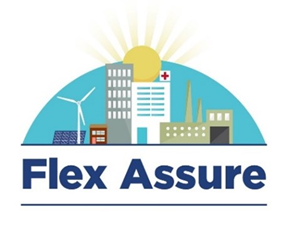 flex assure