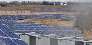 Protecting the backbone of clean energy