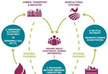 British Biogas could shield households from Gulf energy shock